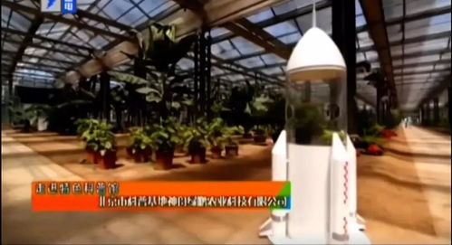 北京研学营 故宫600年历史与果蔬种植实践体验