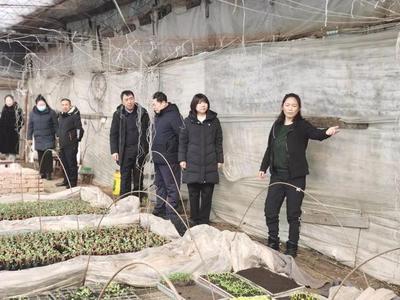 巾帼聚力促振兴 敦化市妇联携手市档案馆深入长青村调研果蔬种植产业