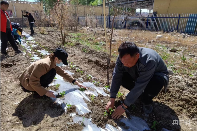 强化党建示范引领 赋能乡村庭院果蔬产业发展