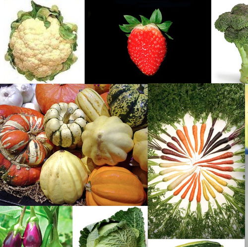 被科学证实的守护者 10种果蔬及其苗木种植对降低乳腺癌风险的意义