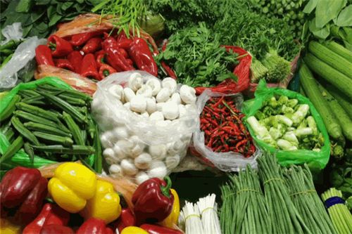 菜大全生鲜加盟指南 加盟条件、费用要求与果蔬种植支持（投资范围10-20万元）