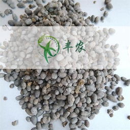 永年县丰农肥业 生物有机肥助力苗木种植新景象